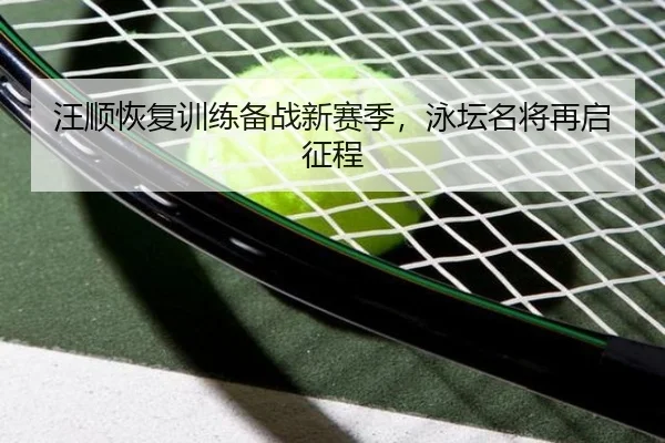 汪顺恢复训练备战新赛季，泳坛名将再启征程