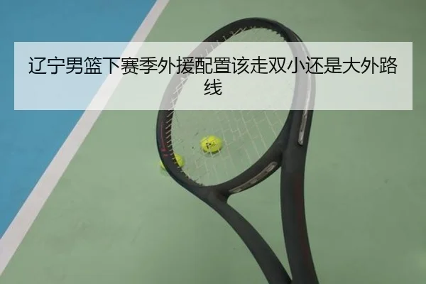 辽宁男篮下赛季外援配置该走双小还是大外路线